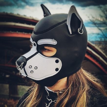 pupmerlo's profile picture. Nothing to see here... yet