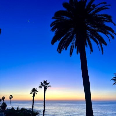 frolleytheIV's profile picture. 