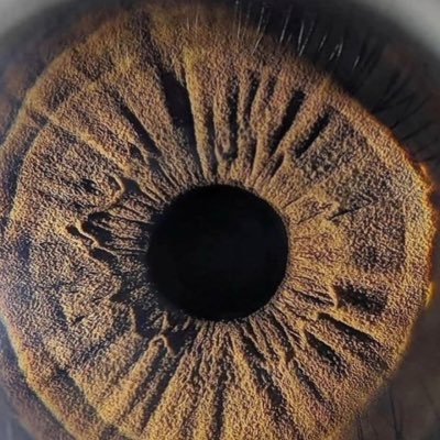 i_davidowo's profile picture. Certainty is the deadly enemy of tolerance. Even Christ was not certain at the end. Di o mio, di o mio! Why have you abandoned me He cried out!