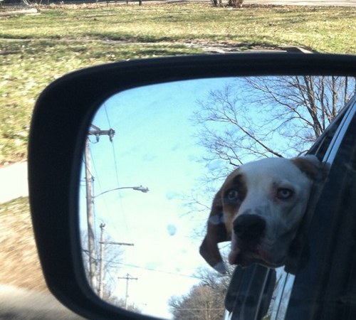 joncahill's profile picture. media. production. at Blur Mediaworks Des Moines
Live in Des Moines Iowa
Owner/Operator of Finley the dog.