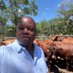 Mhofu Mungu wa Vita (@tapera_david) Twitter profile photo Mhofu Mungu wa Vita (@tapera_david) Twitter profile photo
