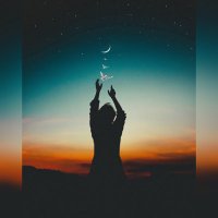 dr (@daliaramahi) 's Twitter Profile