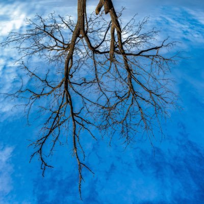 PGA_RobertM's profile picture. 