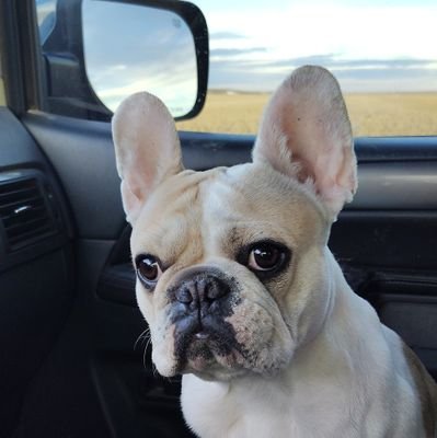 huber22657's profile picture. 