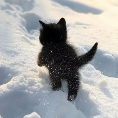 S_9dock's profile picture. 