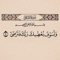 أبو أسيل حساب بديل (@aboaseel22244) 's Twitter Profile