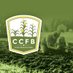 CCFB Foundation (@ccfb_foundation) Twitter profile photo CCFB Foundation (@ccfb_foundation) Twitter profile photo