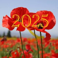 RHS Battlefields 2025 (@rhs_battlefield) 's Twitter Profile