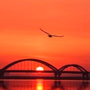 caner (@caner125529) Twitter profile photo