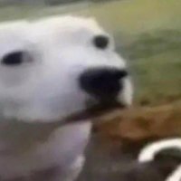 mono (@monotonecrying) 's Twitter Profile