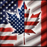 Woody (@woodee4417) 's Twitter Profile