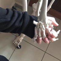 x (@puppydog6) 's Twitter Profile