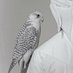 بدر القحطاني ⚜️ (@ih_jg3953) Twitter profile photo بدر القحطاني ⚜️ (@ih_jg3953) Twitter profile photo