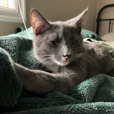 th3fr3ak76's profile picture. 