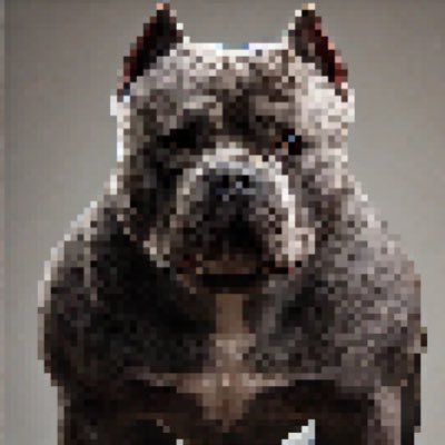 @acethebullly