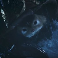 NinjaNudiste (@ninjanudiste_pr) 's Twitter Profile
