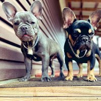 ABickery (@bickery78) 's Twitter Profile