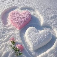 وحيدزمانه (@algodemy1985) 's Twitter Profile
