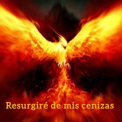 Profesor de Geografía e Historia, Licenciado en Comunicación Audiovisual y programador en Kotlin en Android. Murciano por el mundo y orgulloso 🏳️🌈