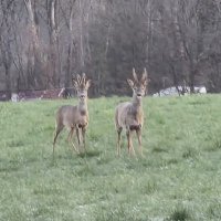 Christelle Contreras-Chasserot (@christellecontr) 's Twitter Profile Photo