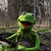 Kermit T Frog (Parody) (@0xkermit_eth) Twitter profile photo Kermit T Frog (Parody) (@0xkermit_eth) Twitter profile photo