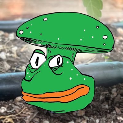 jasbarden's profile picture. ish coin extraordinaire