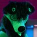BASSDOG 💜🐾 TRANQUIL EP OUT NOW (@bassdogsongs) Twitter profile photo BASSDOG 💜🐾 TRANQUIL EP OUT NOW (@bassdogsongs) Twitter profile photo