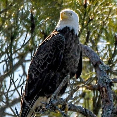 clemroc44's profile picture. 🇺🇸 Proud American 🇺🇸 ⚾️ 🏒🎸 🦅 🌎 ⚓️ 🐈 🐈‍⬛ 🚔 🇺🇸