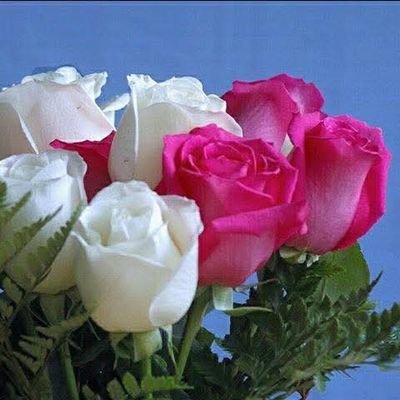 le🌹printemps🌷⚘さんのプロフィール画像