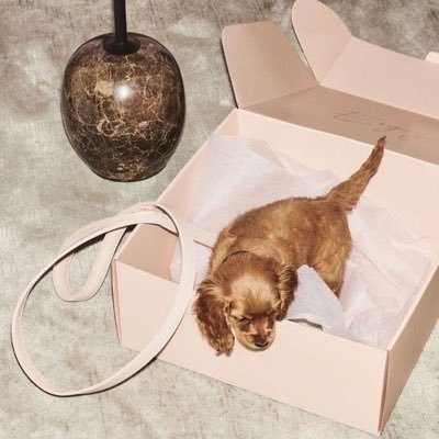 myyloveeeee93's profile picture. 