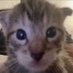 ana sol (@tearslow) Twitter profile photo ana sol (@tearslow) Twitter profile photo