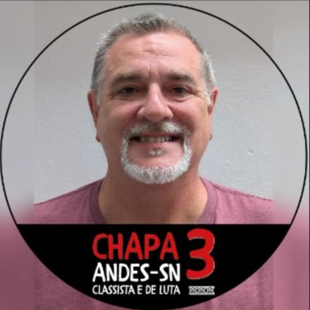 Antifascista, Palestina Livre, Vacina Salva Vidas, Historiador e Professor da Universidade de São Paulo, Timão, Pai. Conta pessoal.