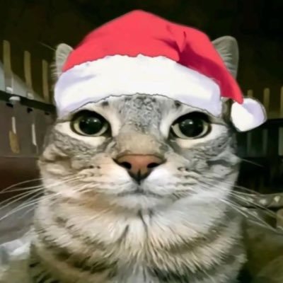 TylerParke3410's profile picture. 