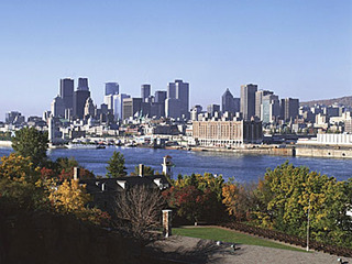 AraAraAraAraa's profile picture. 