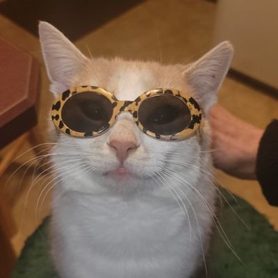 bucketjerky's profile picture. Just a guy with a twisted view of the world