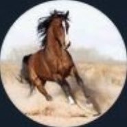 avidbookreader9's profile picture. Extreme Rust Programmer