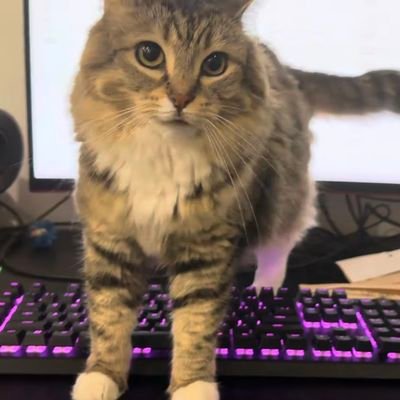 Rammmww's profile picture. 