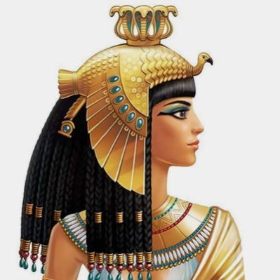 msryhfa1's profile picture. 