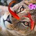🦁 شیرِ ساواک ⛳️ (@persianlionesss) Twitter profile photo 🦁 شیرِ ساواک ⛳️ (@persianlionesss) Twitter profile photo