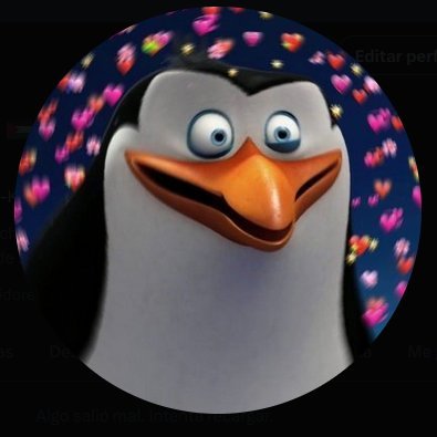 alfredogug38980's profile picture. 