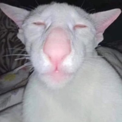 weebacct's profile picture. 