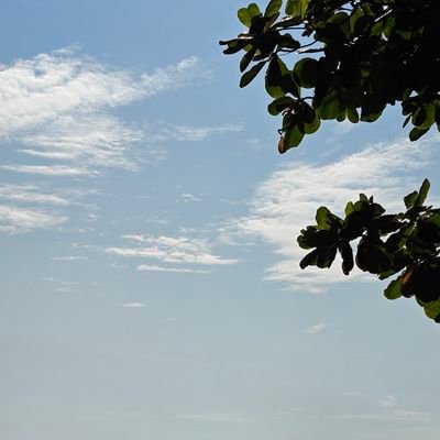 irajeeth123's profile picture. ◾Analogue at birth, Digital by design
◾Single by choice
◾Avid reader and a good samaritan
◾Perennial aficionado of Actor-Suriya & Cricketer-Rohit
◾Proud Indian.