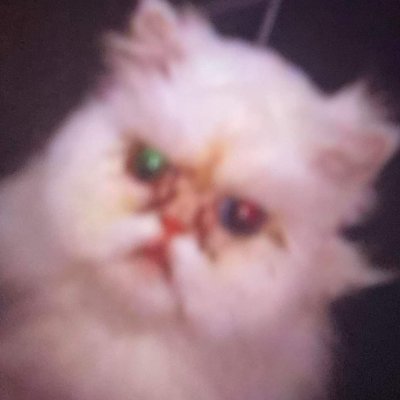 TheGrinningChai's profile picture. 