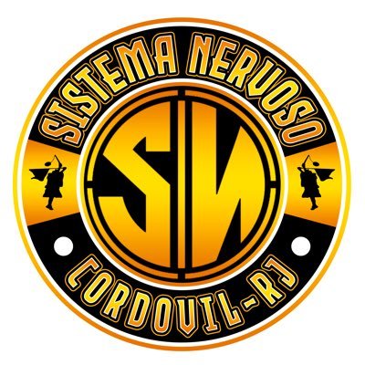 Perfil Oficial da Turma Sistema Nervoso | Cordovil - ZN | Rumo os 5 anos