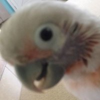 AgainsttheNarrative (@chk053) 's Twitter Profile