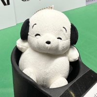 ri (@stw_ym) 's Twitter Profile