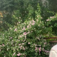 . (@rhetusarci19) 's Twitter Profile Photo