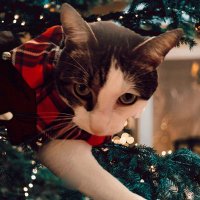 Chris Numbers (most sites) (@chris48263851) 's Twitter Profile Photo Chris Numbers (most sites) (@chris48263851) 's Twitter Profile Photo