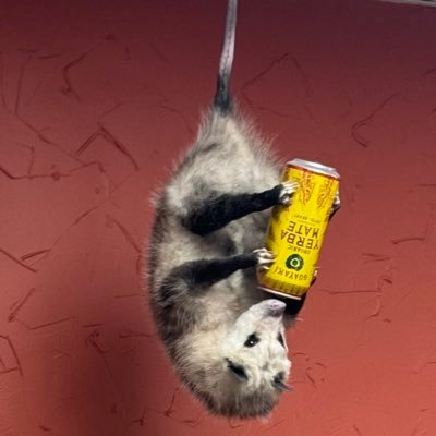 highthoughts213's profile picture. in which I only make tweets. while I’m high.