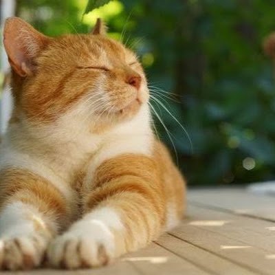 kiki_dayo0's profile picture. 趣味でやっているものとかを投稿します！　良ければ見ていってね〜